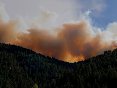 Wildfire smoke plume created from the calwood fire.